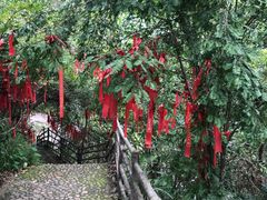 -梁野山景区