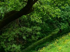 -西湖风景区-江洋畈生态公园