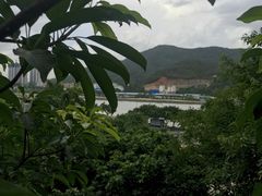 -鼓浪屿内厝澳码头(轮渡站)
