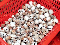 -巽寮印象美食部落餐厅·海鲜·地方特色菜(惠州体验店)