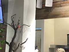 -成川茶店·潮汕工夫浓茶(万象店)