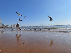 -金梦海湾浴场