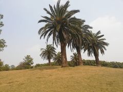 -美兰湖景区