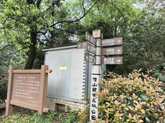 -潜山国家森林公园