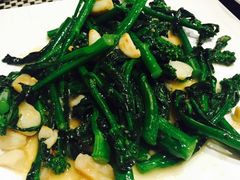-新兴·金羊座·粤菜点心(乐峰店)