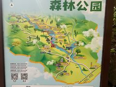 -广州白江湖森林公园