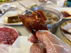 -百利鸽王(紫薇路店)