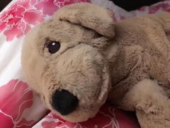 -新世界百货(顺义店)