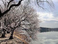 -颐和园