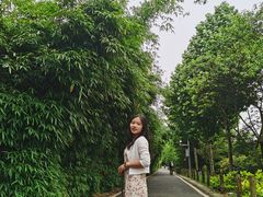 -贵阳市花溪国家城市湿地公园