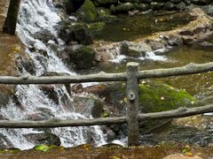 -牛背梁国家森林公园