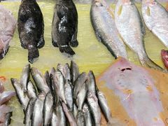 -健眺小海鲜(临海后山店)