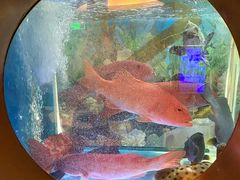 大堂-辉哥火锅(虹桥路店)