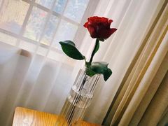 -几静cafe(基湖店)