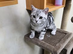 -康乐宝动物医院