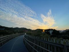 -福道