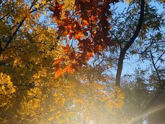 -元大都城垣遗址公园