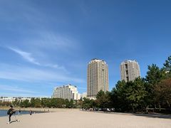 -台场海滨公园船码头