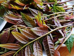 -盘龙黄鳝(盘龙居店)