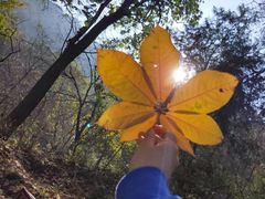 -终南山国家森林公园