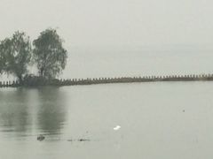 iphone_upload_pic-九里河湿地公园