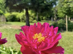 -黑龙江省森林植物园