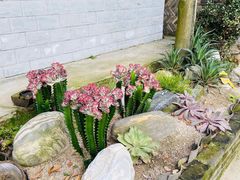 -凤来栖·净庭院·火锅(欧尚店)