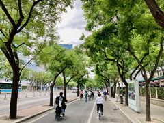 -文三里屯面馆(三里屯店)