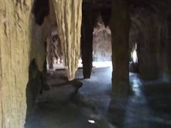 -绿光森林餐厅