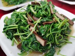马兰头豆干-长廊好灶头 本地人农家菜(枫泾古镇店)