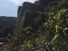-枸杞岛
