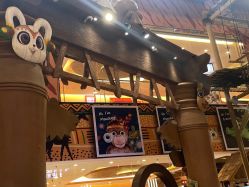 -卡通尼·Safari非洲探索乐园·生日会(金桥国际商业广场店)