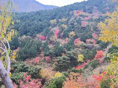 -香山公园
