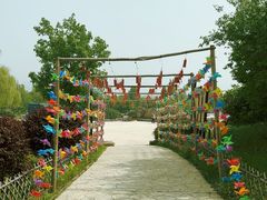 -北京西山国家森林公园