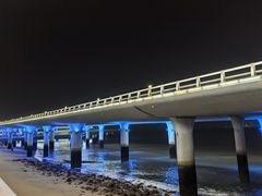 -演武大桥观景平台