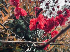 -螃蟹岬(地铁站)