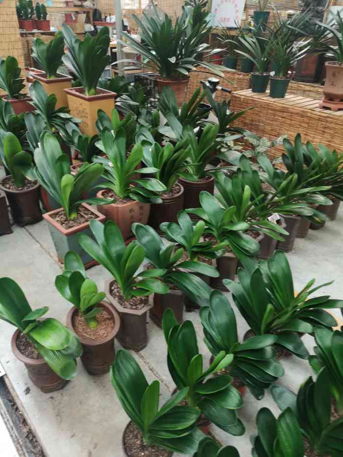 "-大众点评移动版