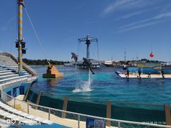 -秦皇岛乐岛海洋王国