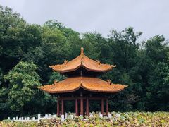 -富乐山