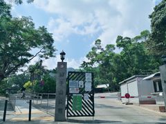 -狮子山郊野公园