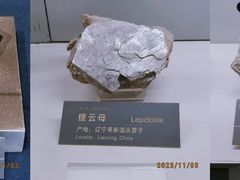 -中国地质博物馆