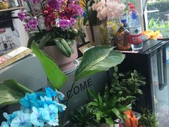 -FEI FEI FLOWER鲜花店·气球派对·宝宝宴布置(虹口德必运动Loft店)