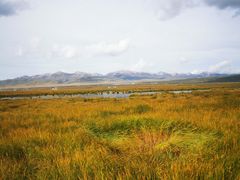 -花湖生态旅游区