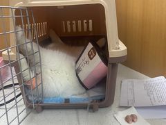 -联合动物医院(光谷诊疗中心)