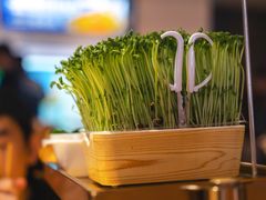 -海底捞火锅(牡丹园店)