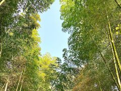 -天目湖涵田半山温泉