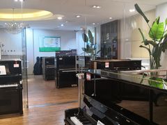 -柏斯琴行(汾阳店)