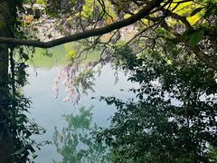 -南京珍珠泉风景区