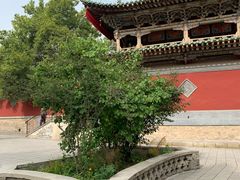 -塔尔寺