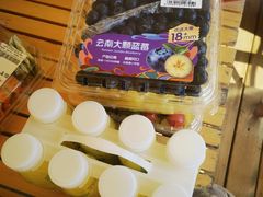 -九科绿洲